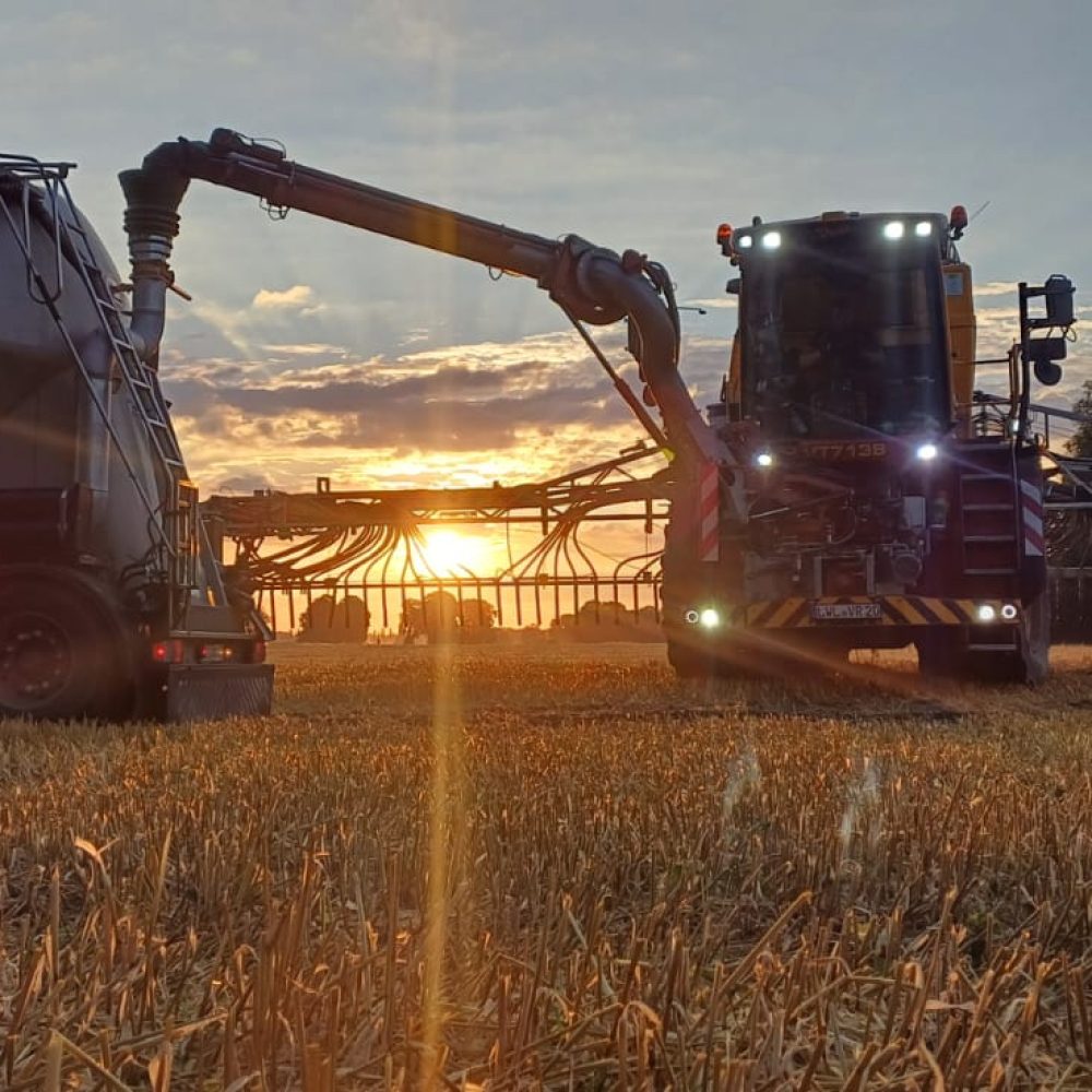 WhatsApp Image 2024-07-17 at 17.26.03(2)